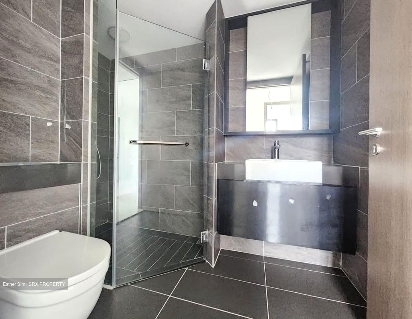 Affinity At Serangoon (D19), Apartment #572649441